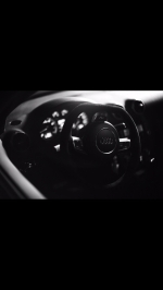 rs333